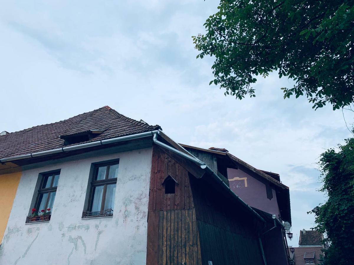 锡吉什瓦拉Casa Teutsch别墅 外观 照片